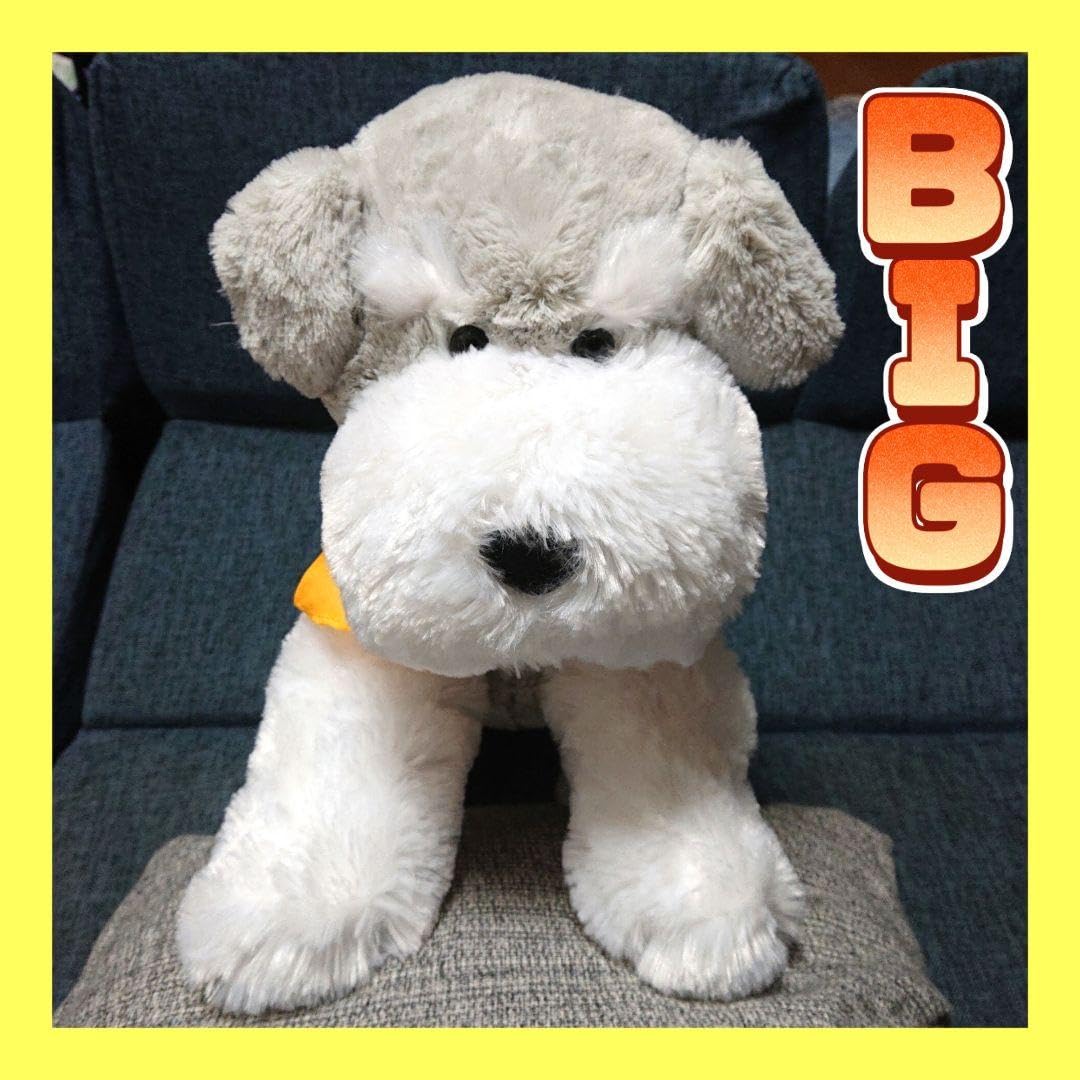 Amazon.co.jp: 映画 交換ウソ日記 くったりシュナウザー BIGぬいぐるみ